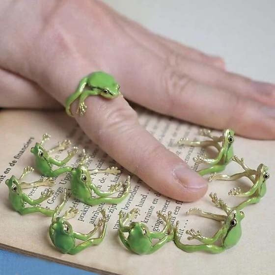 Cute Tree Frog Ear Clip & Adjustable Ring